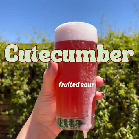 Hand holding a glass of red 'Cutecumber fruited sour' beer with greenery in the background