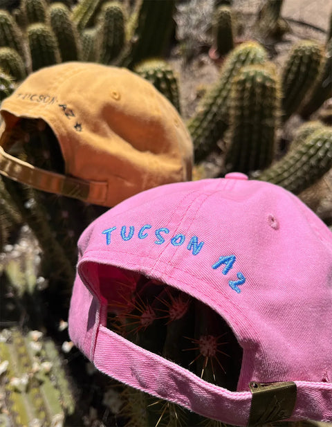 2 hats on a cactus